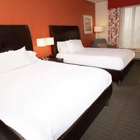 Hilton Garden Inn Springfield, Il Exterior foto