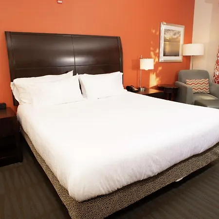 Hilton Garden Inn Springfield, Il Exterior foto